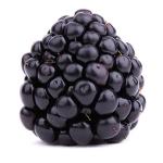 Berries